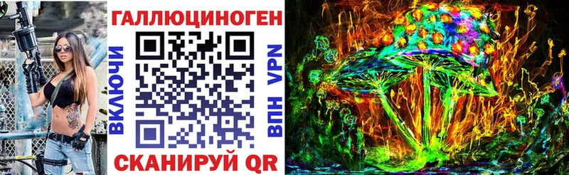 хочу Сафоново Галлюциногенные грибы Psilocybe