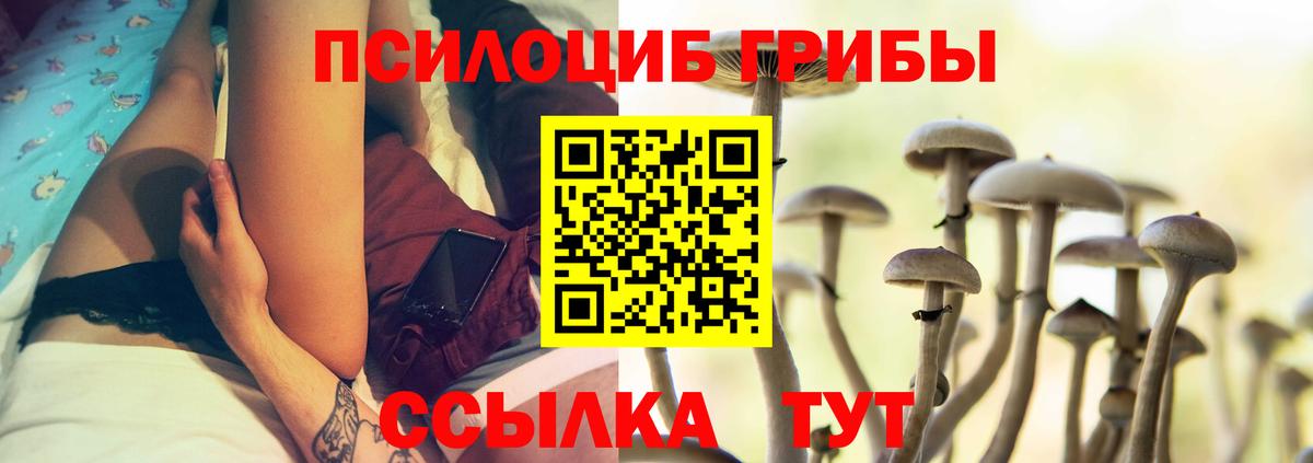 Галлюциногенные грибы Psilocybine cubensis  Вход с VPN  купить  цена  Сафоново 
